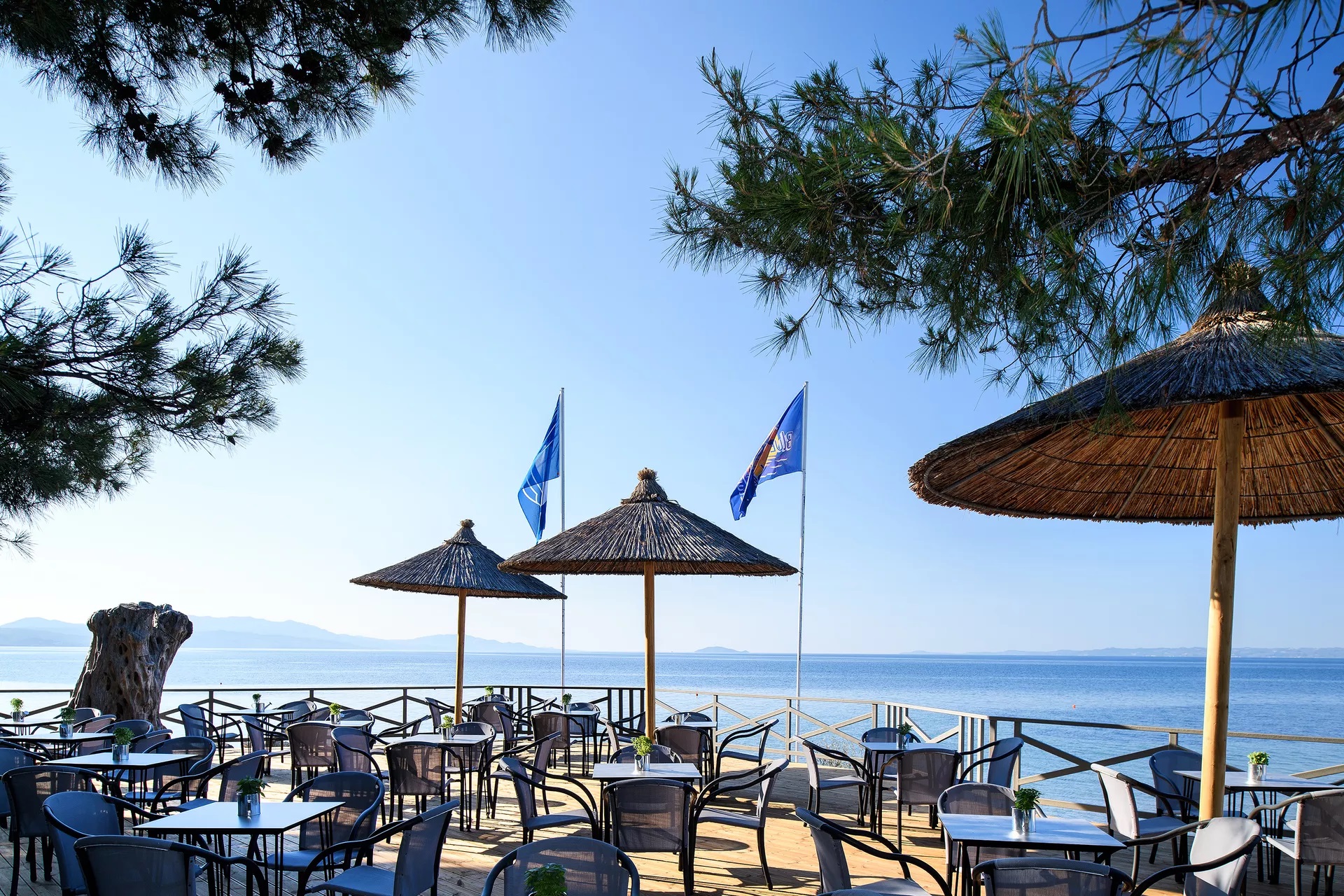 Blue Dolphin-Bar na plazi.jpg