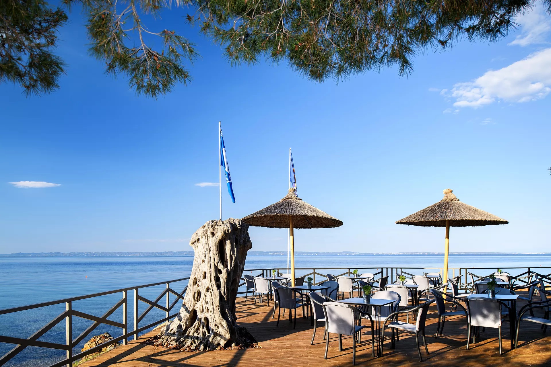 Blue Dolphin Hotel-Bar na plazi.jpg