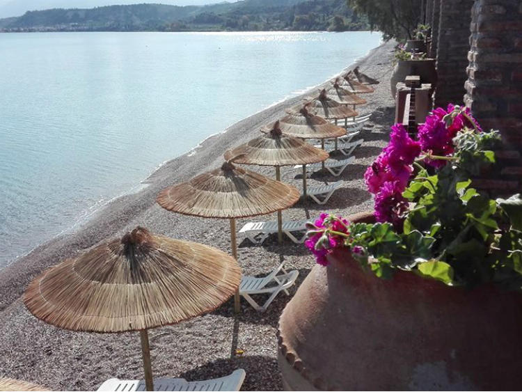 Hotel Castella Beach beach.jpg