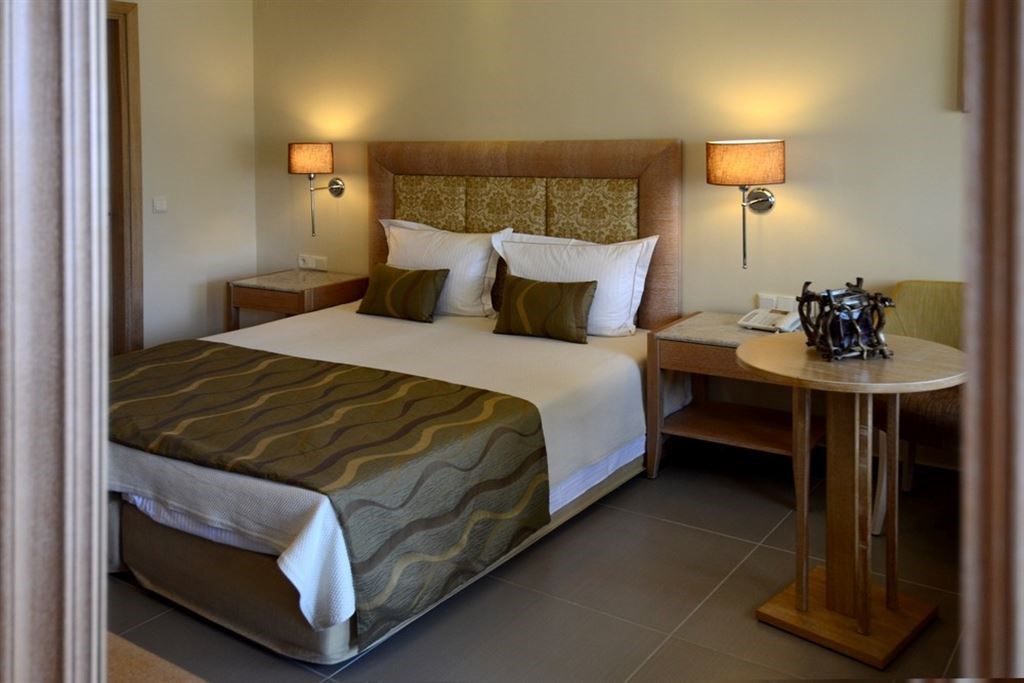 Danai Hotel _ Spa double room 1.jpeg