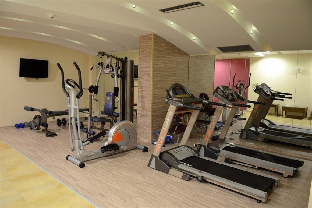 Danai Hotel _ Spa gym.jpeg