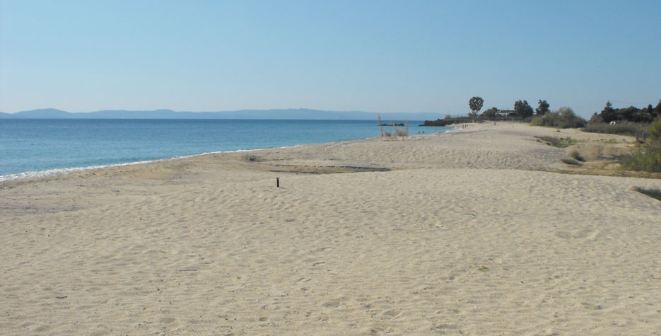 Despotiko Apartment Hotel _ Suites  plaža. jpg.jpg
