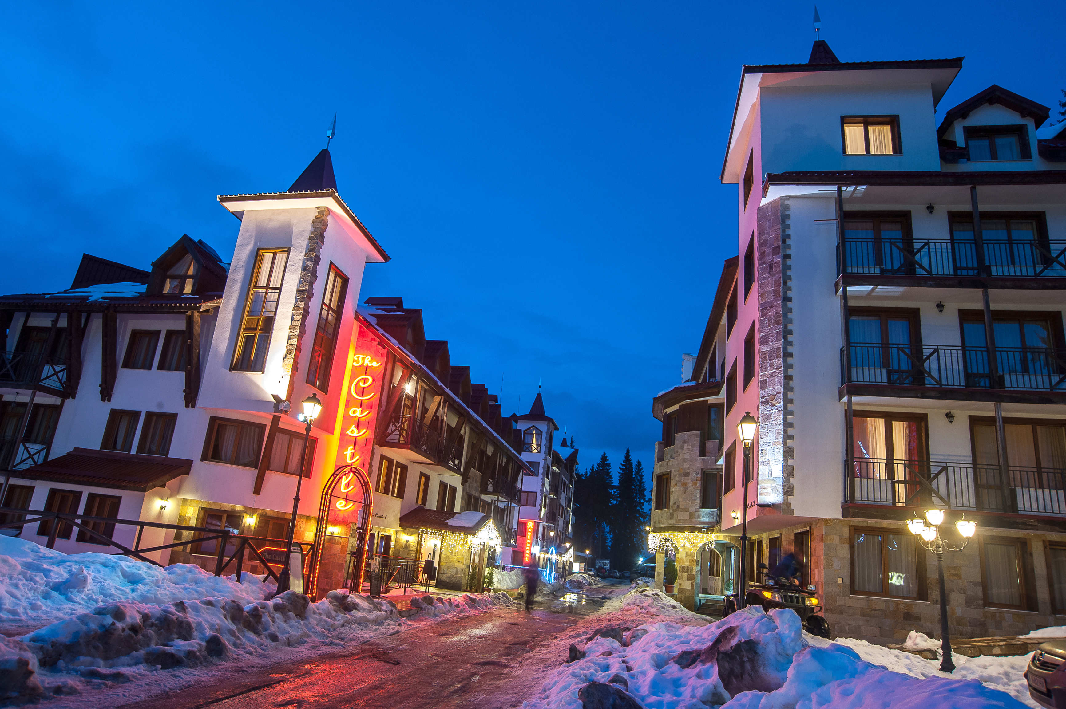 The Castle hotel