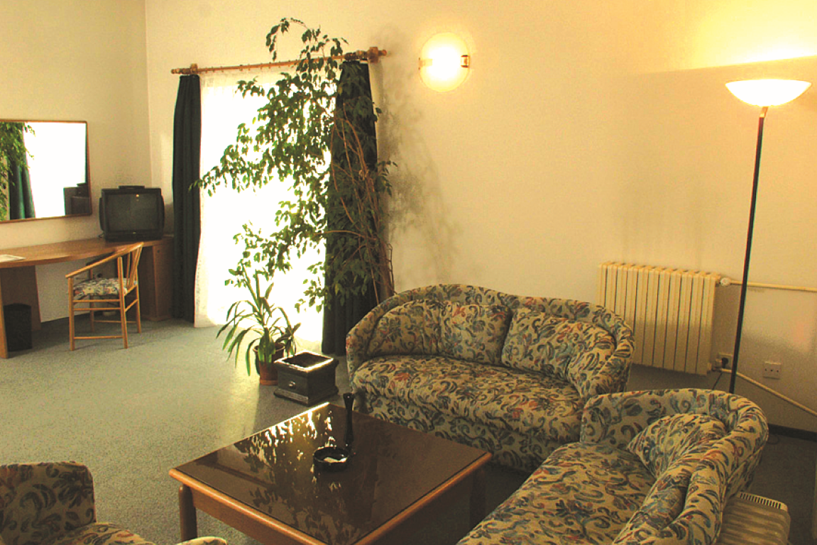 Hotel Bansko-Apartmani dnevna soba.tif