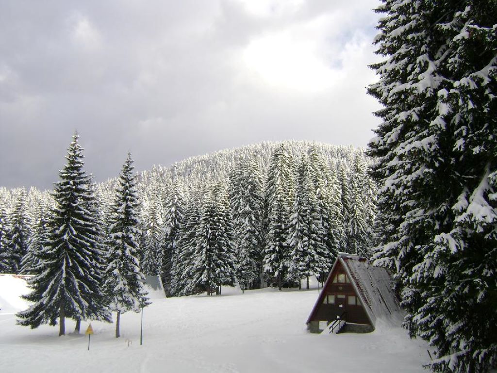 Malina Villas Pamporovo-Okruzenje.jpg