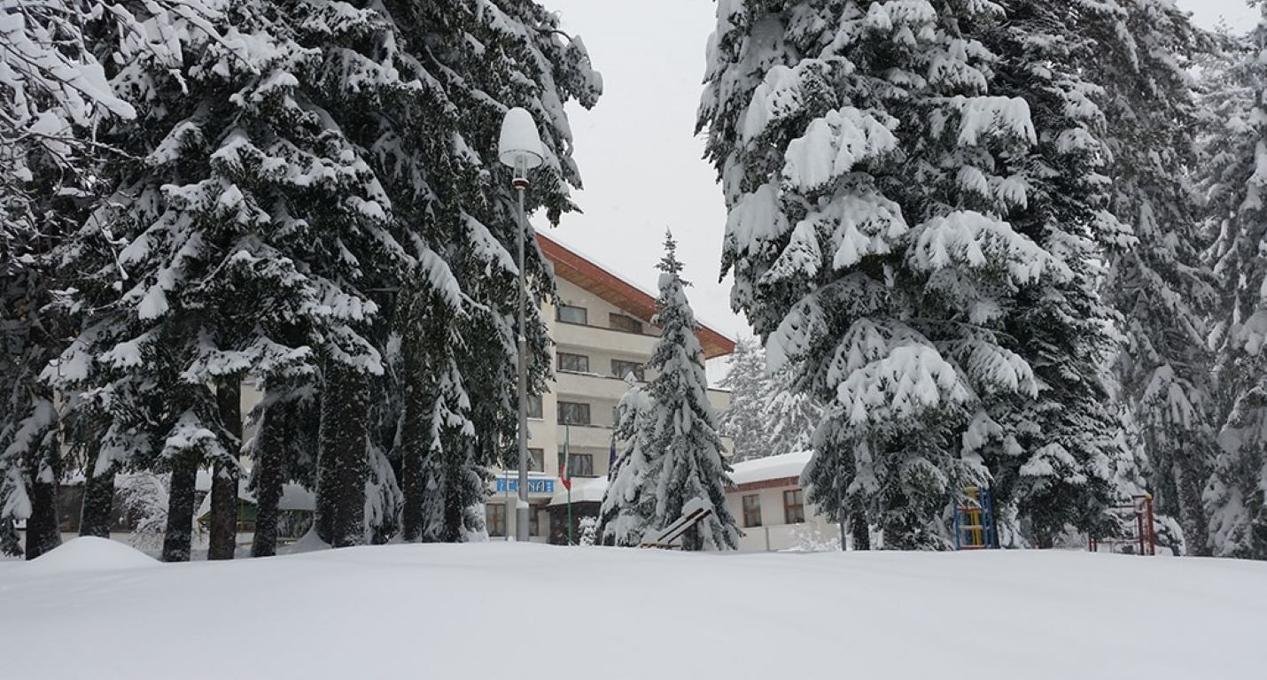 Hotel Elina-Prilaz hotelu.jpg