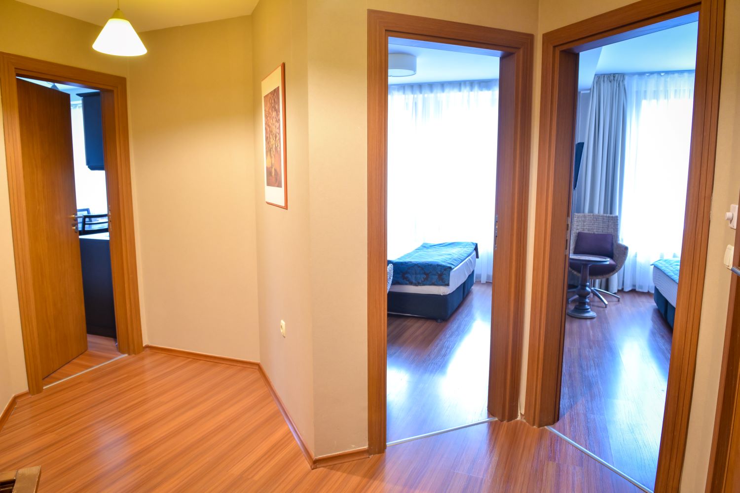 Regnum Apart Hotel & Spa-Grand suite pogled planina.jpg