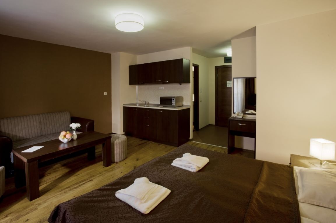 Casa Karina Bansko-Studio.jpg