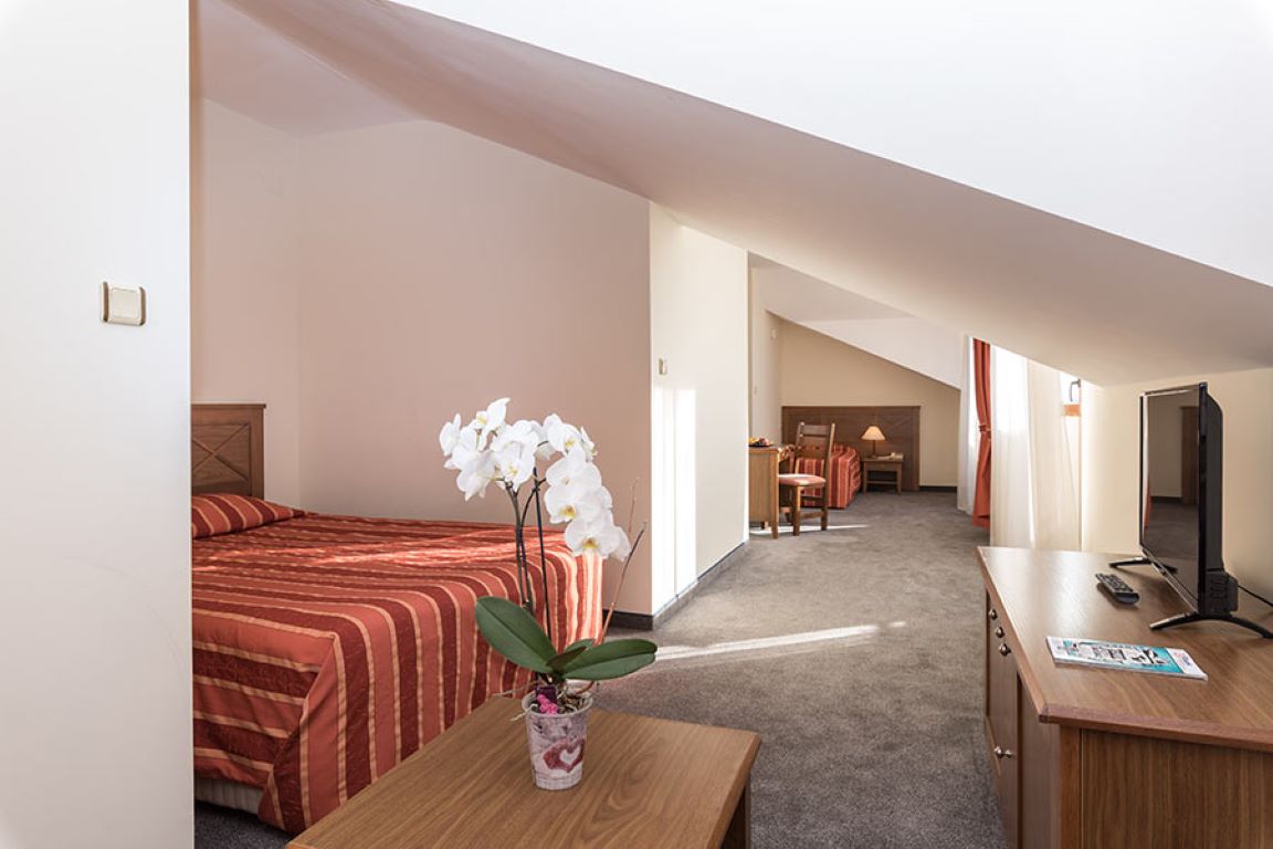 Hotel Evelina Palace-Studio.jpg
