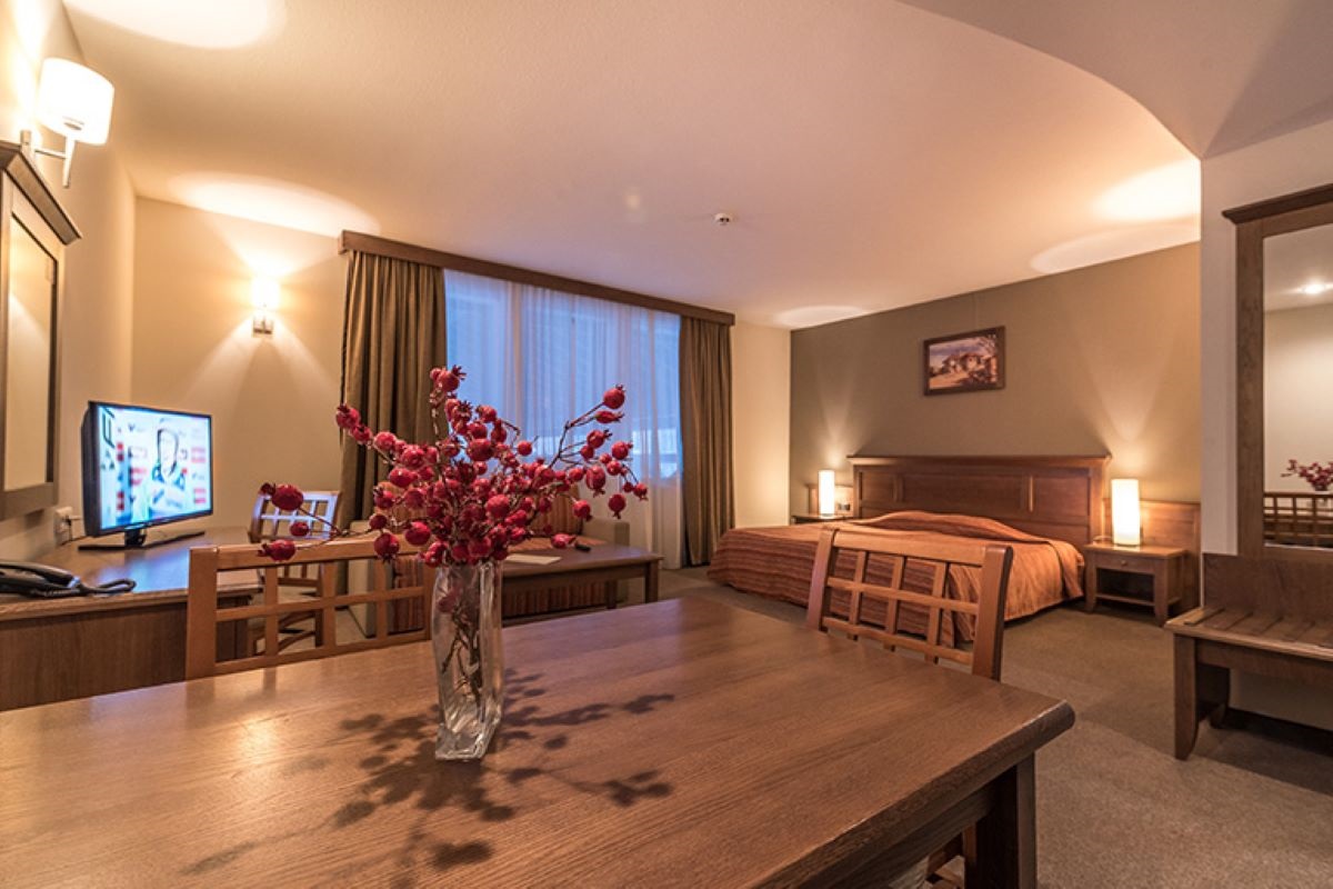 Hotel Lion Bansko - studio - dnevna soba.jpg