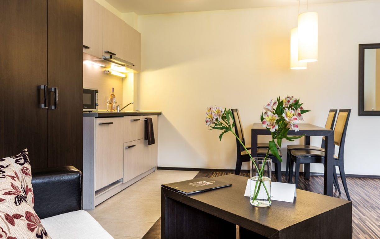 Perun Lodge Bansko-Jednosoban apartman.jpg