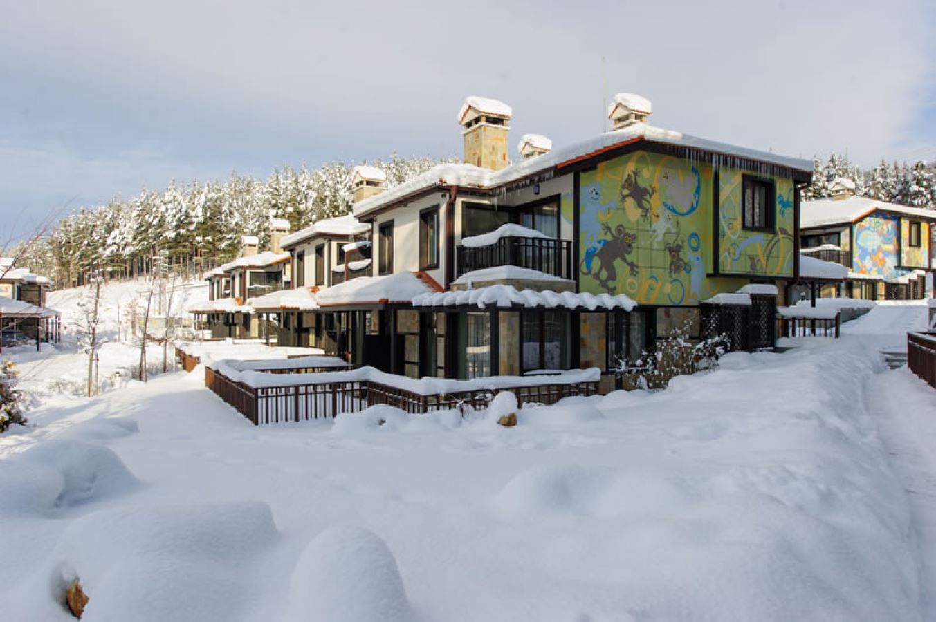 Ruskovets Resort - izgled spolja zimi.jpg