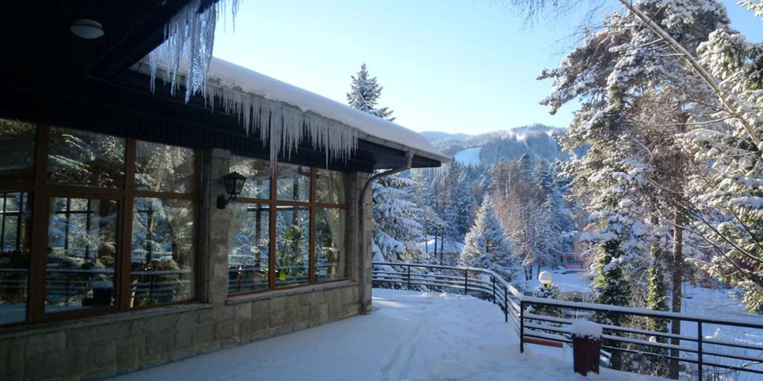 Hotel Bor-Restoran.jpg