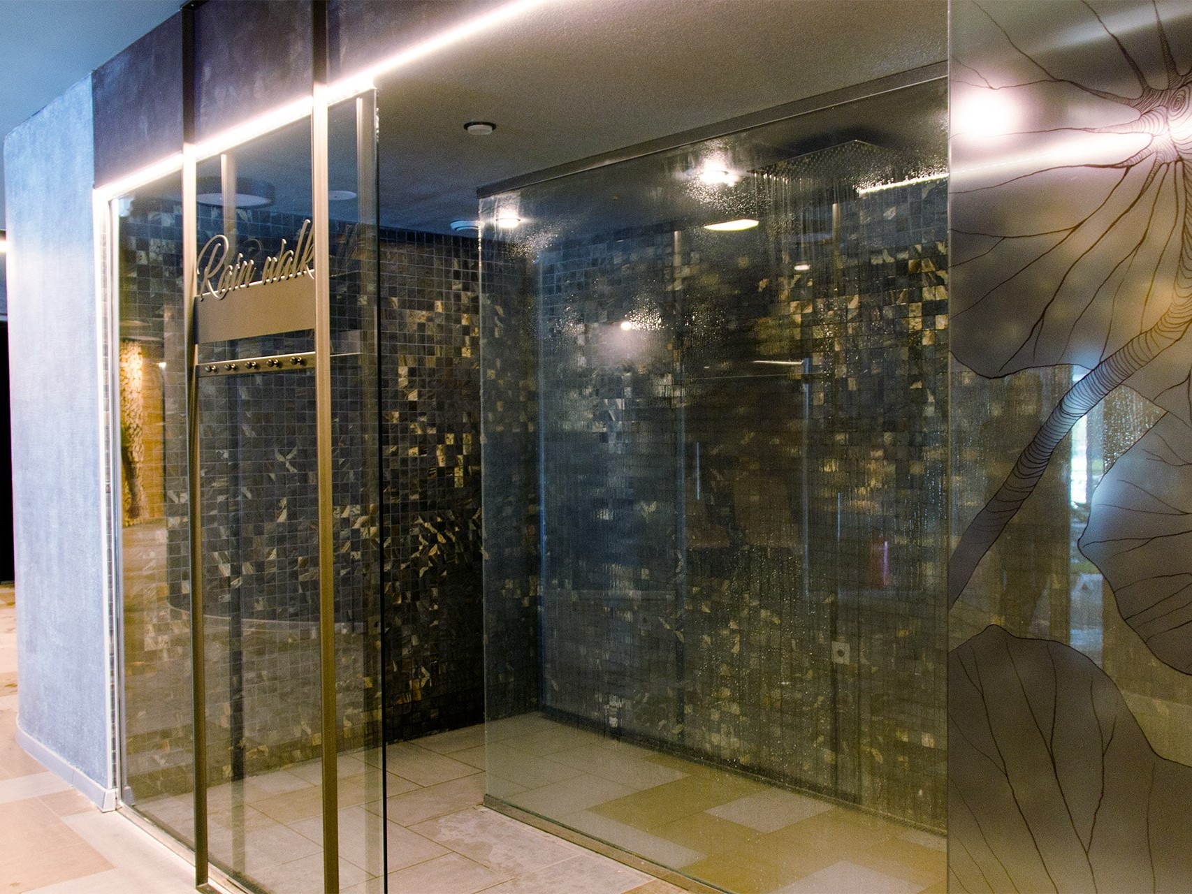 Hot Springs Medical & Spa Hotel-Setnja po kisi.jpg