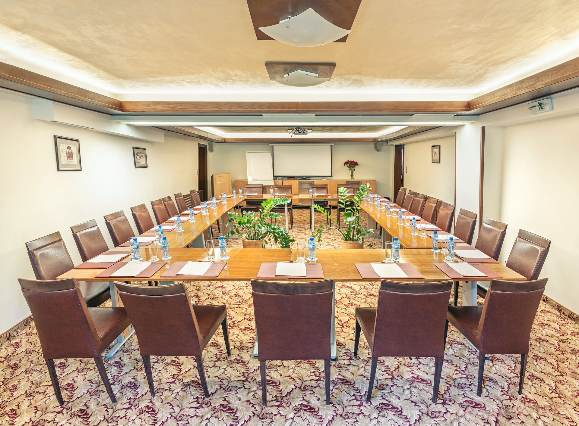 Hotel Yastrebets Spa-Sala za sastanke.jpg