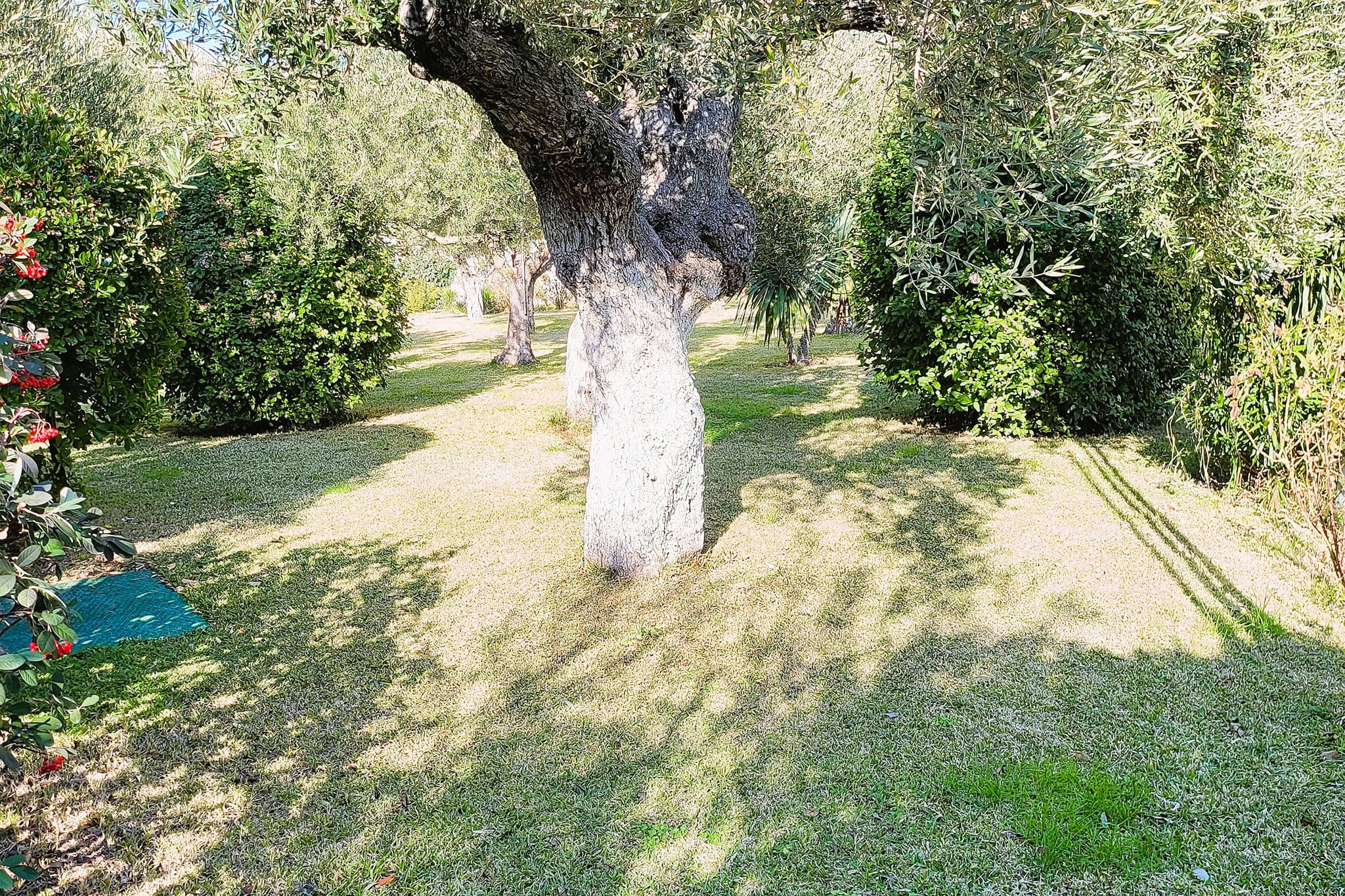 Greek Pride San Giorgio Apartments-Dvoriste.jpg
