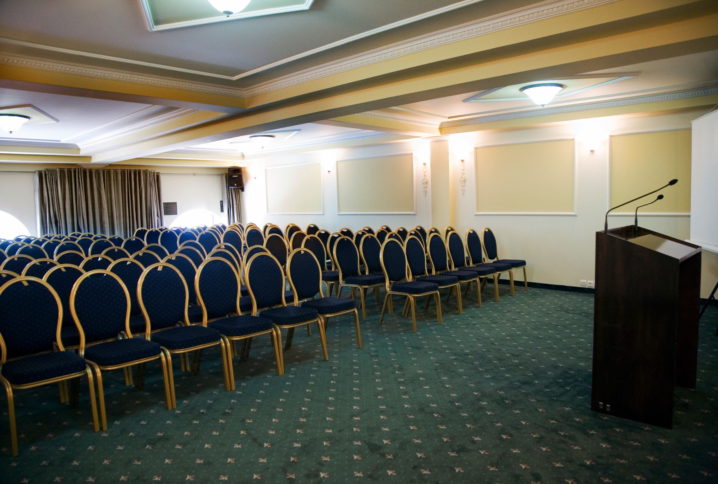 Domotel Arni Karditsa Hotel-Konferencijska sala.jpg