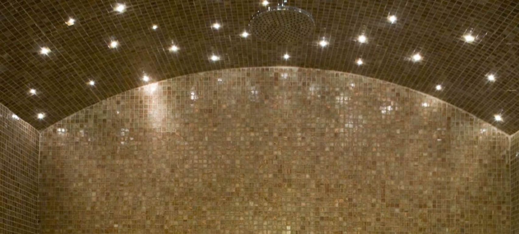 Hotel Domotel Neve Kaimaktsalan-Tropski tusevi.jpg