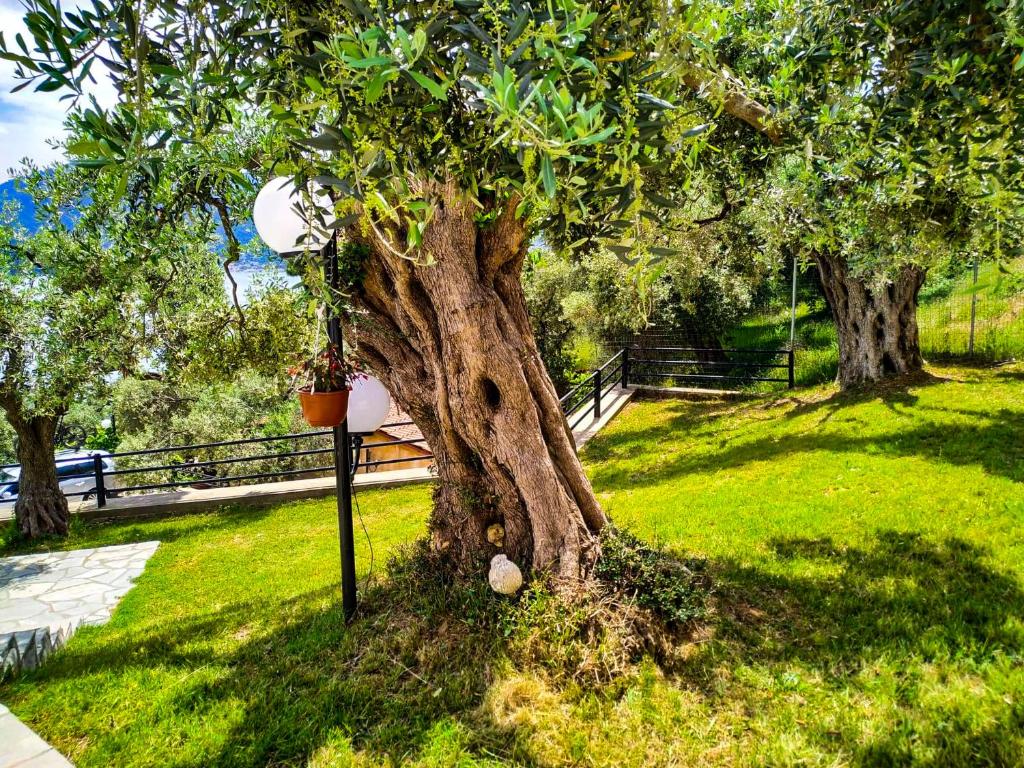 Hotel Celeste Golden Beach-Basta hotela.jpg