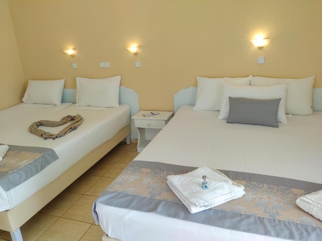 Hotel Celeste Golden Beach-Porodicni studio.jpg