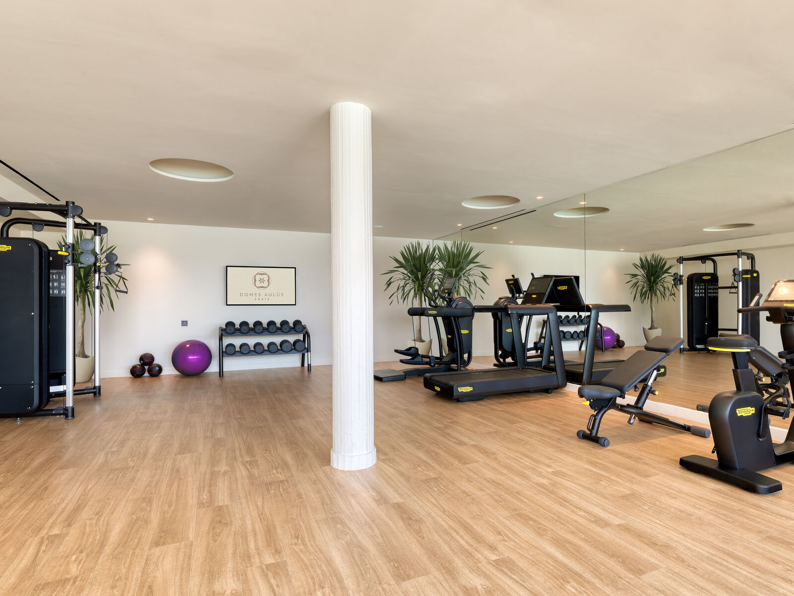 Domes Aulus Zante Hotel-Fitnes.jpg