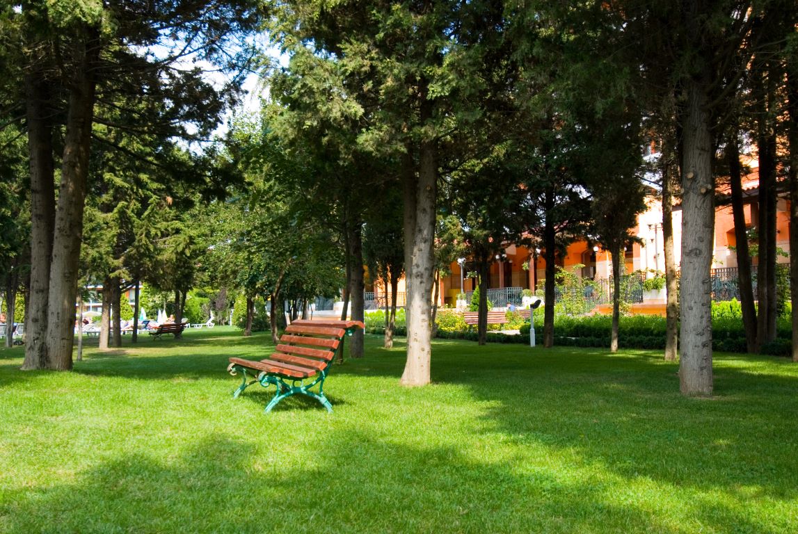 Hrizantema hotel basta.jpg