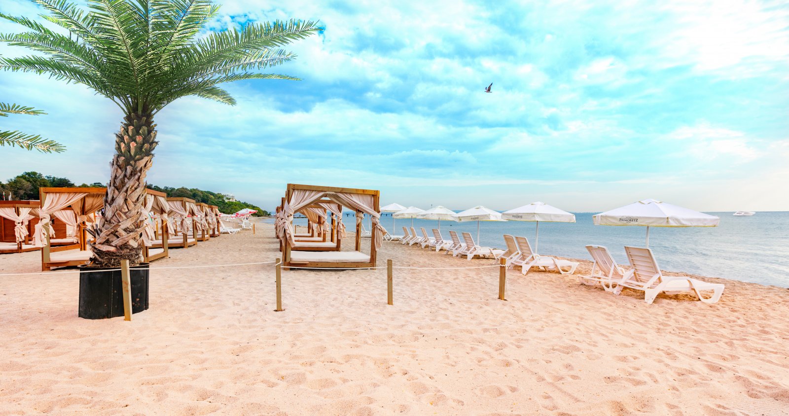 Hotel Grand Primorets-Plaza.jpg