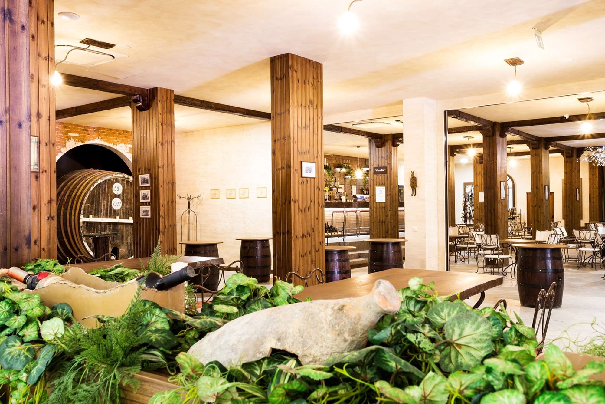 Via Pontika Hotel-Vinarija.jpg