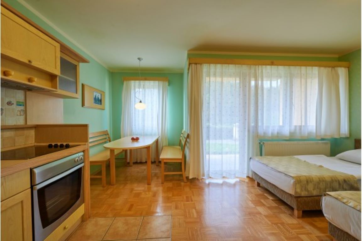 Eco Terme Snovik-Apartman A2.jpg