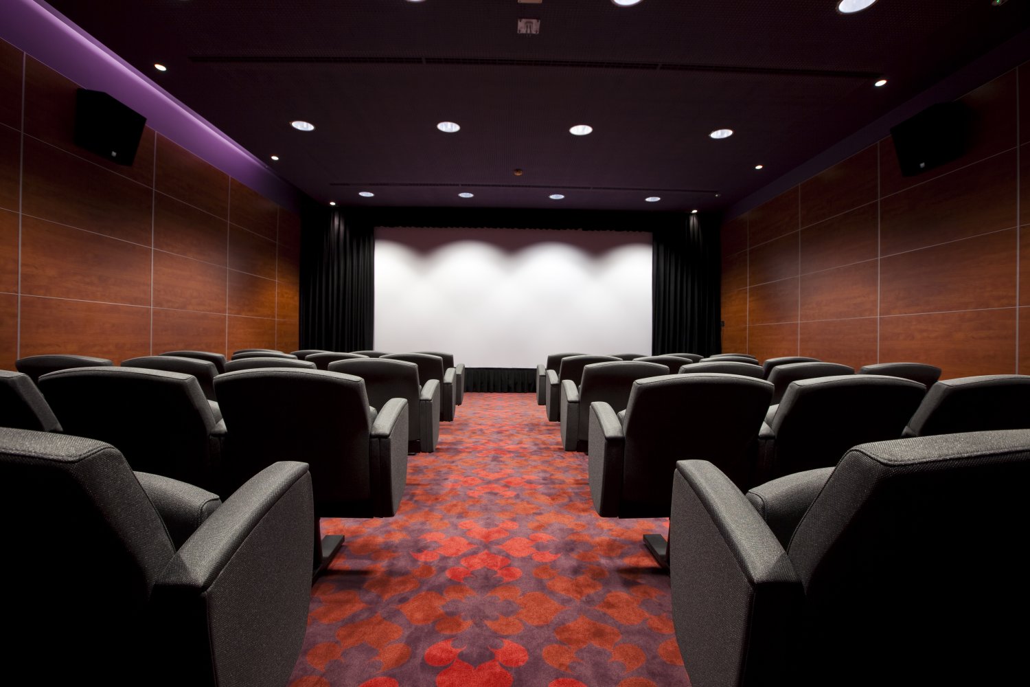 Eco Hotel Bohinj-Bioskopska sala.jpg