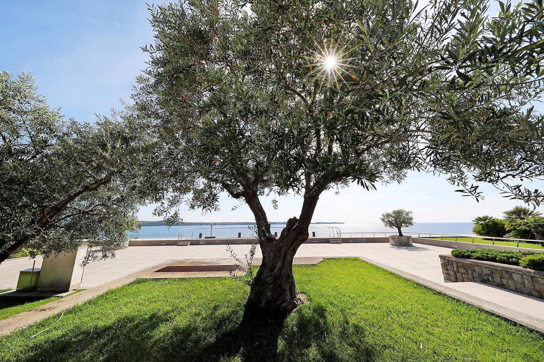 Histrion Hotel-Basta hotela.jpg