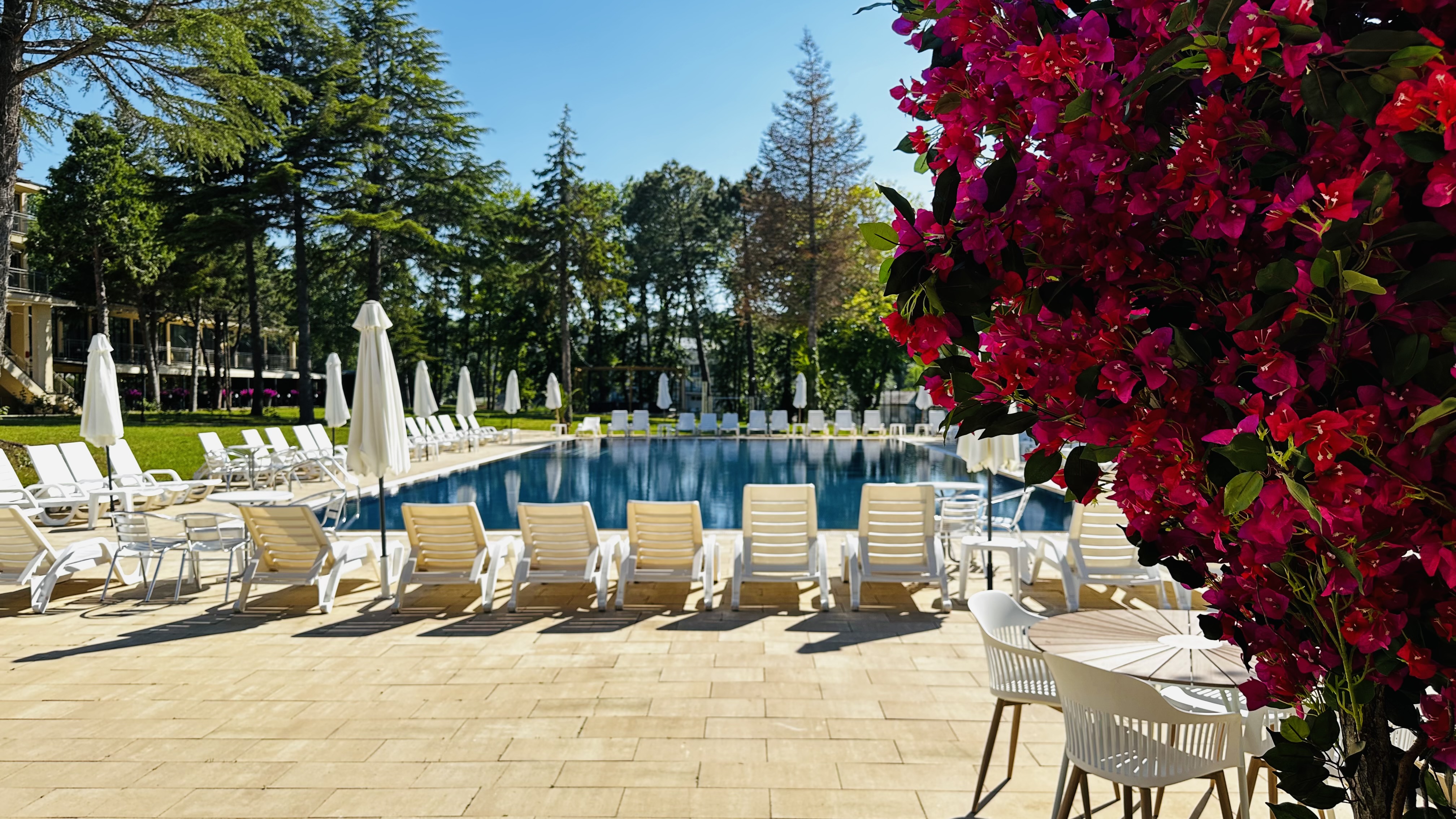 Queen Nelly Park Hotel izgled bazena