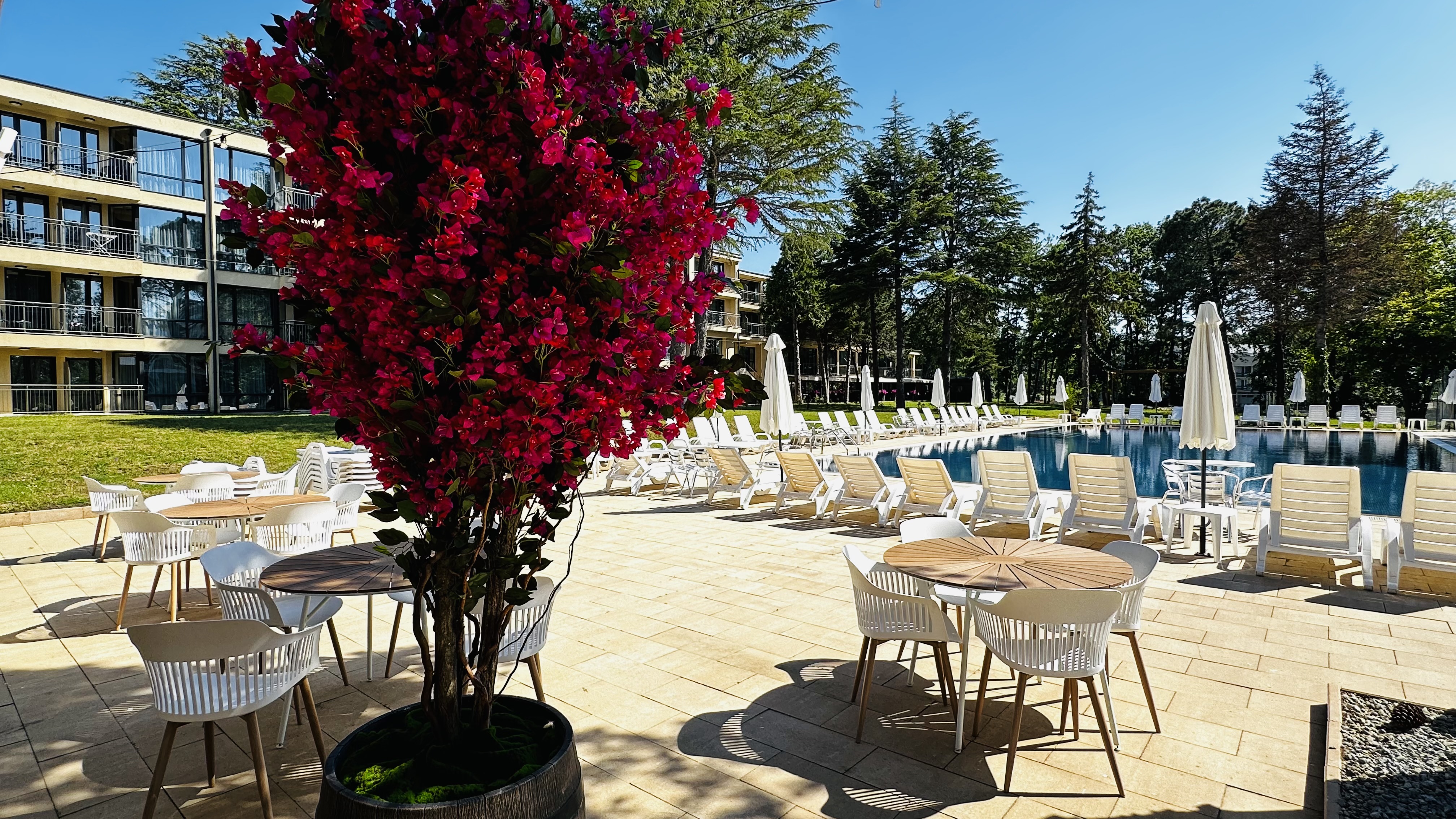 Queen Nelly Park Hotel bazen
