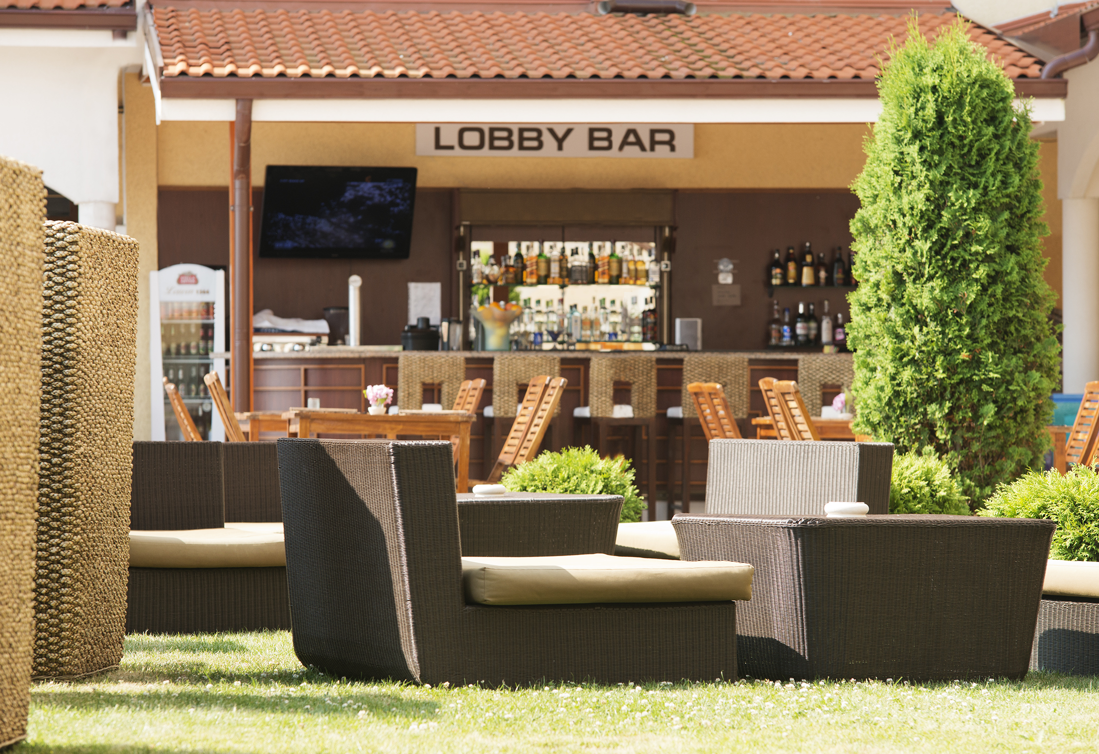 Sunrise All Suites Resort-Lobby bar.jpg