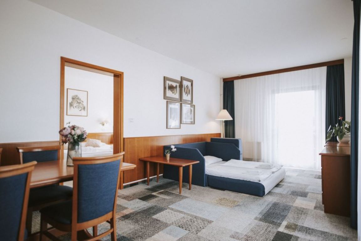 Hotel Toplice-Apartman.jpg
