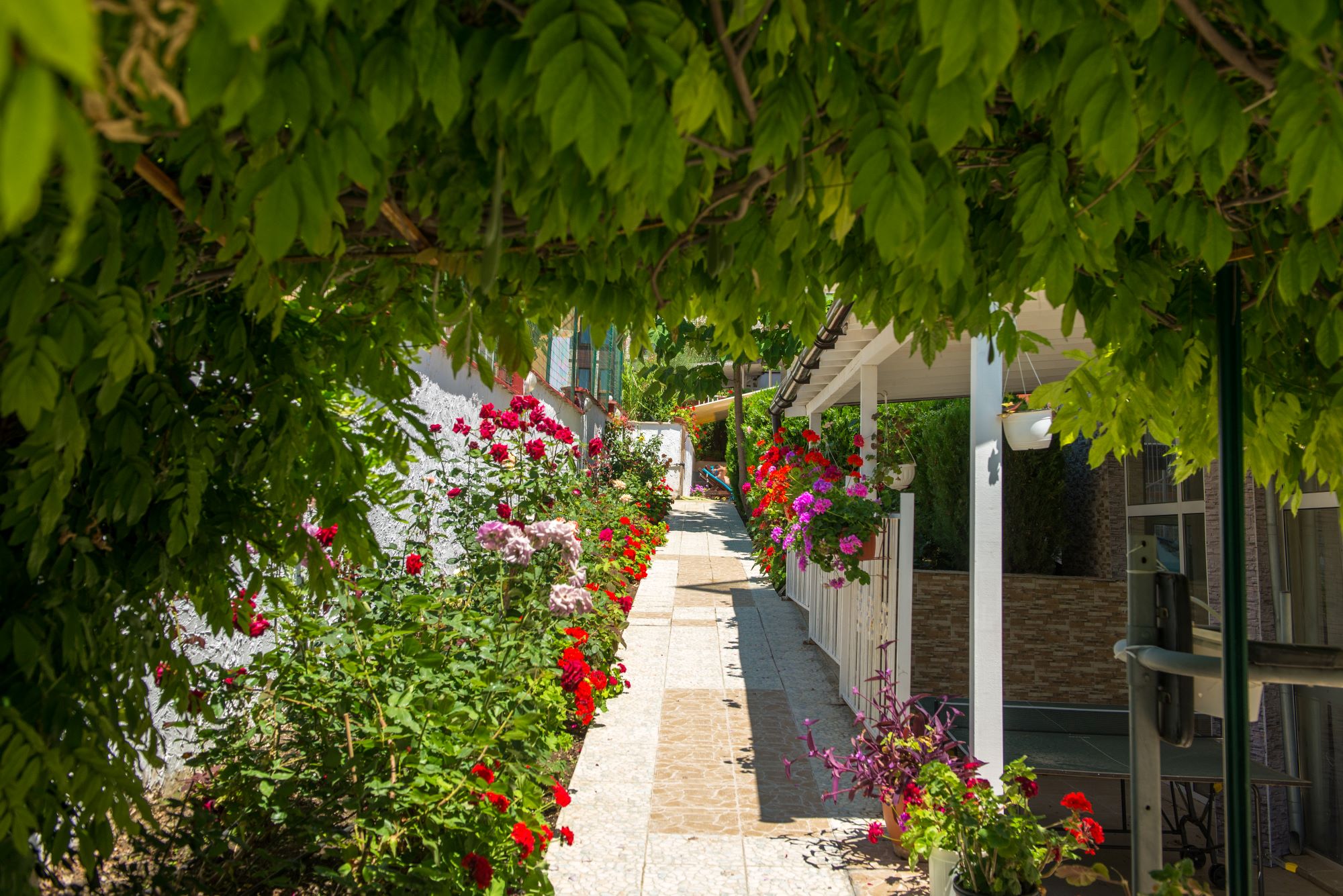 Hotel Iris-Basta.jpg