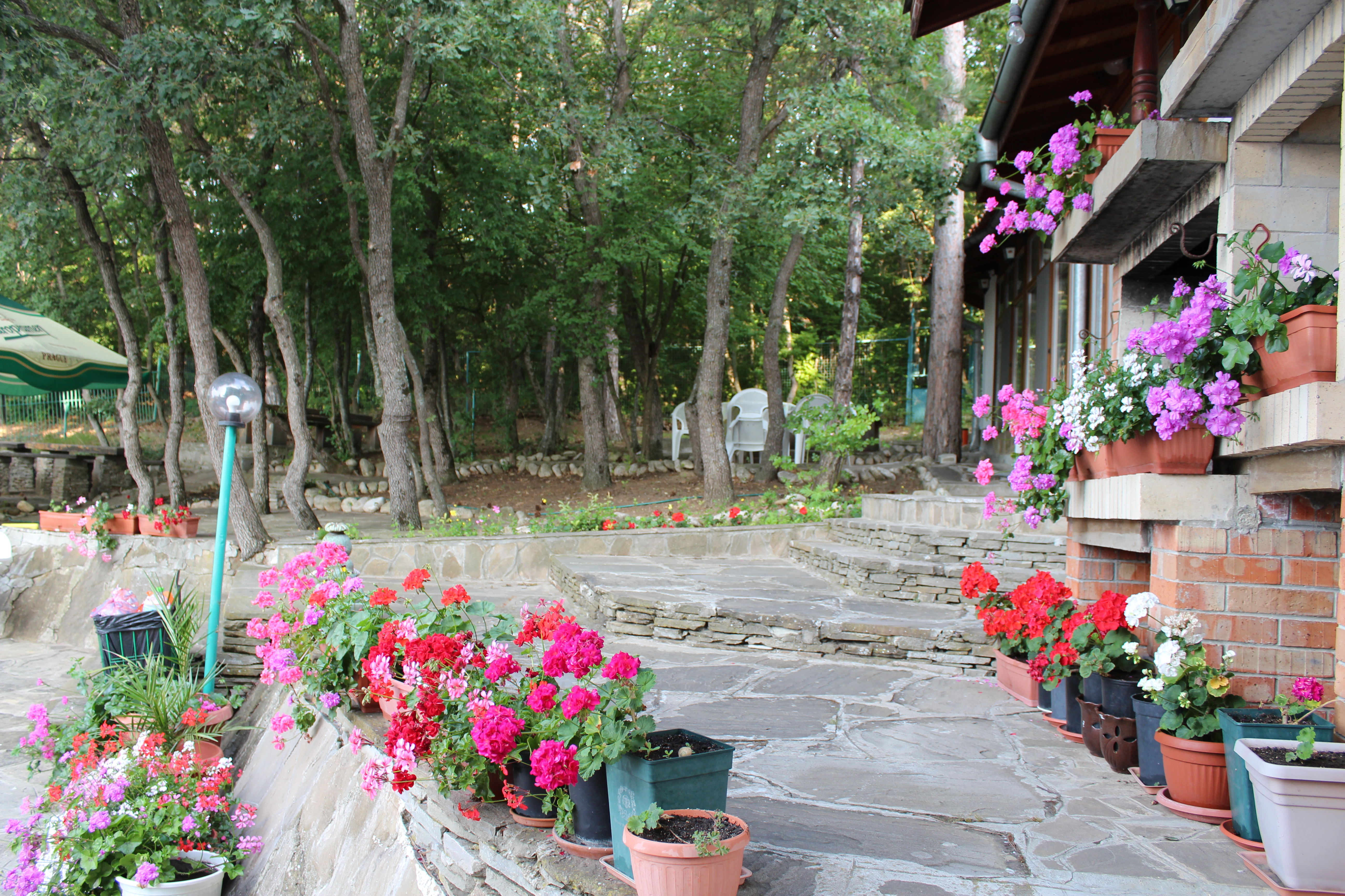 Hotel Zora-Basta hotela.JPG