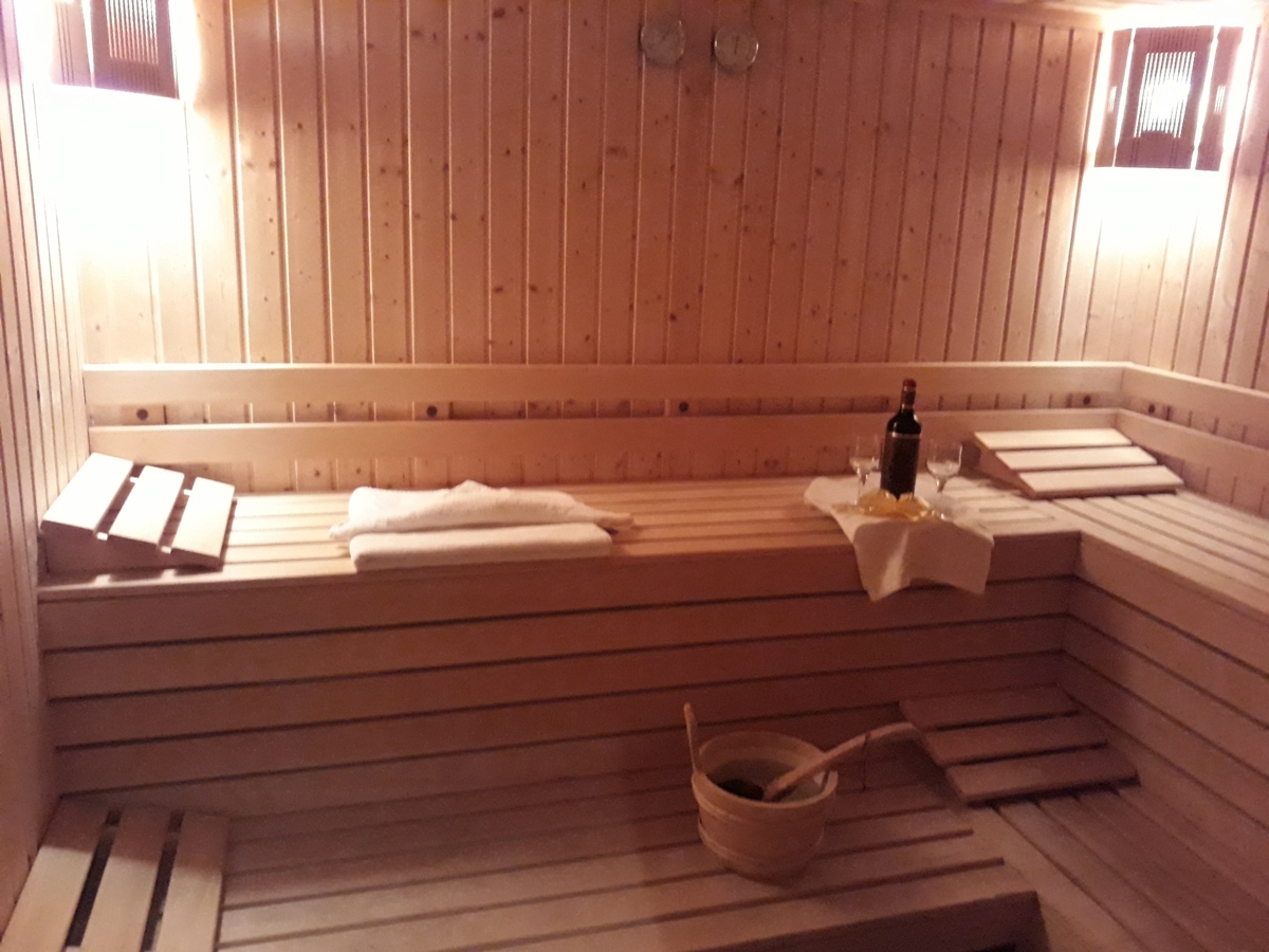 Apart Hotel Darius-Sauna.jpg