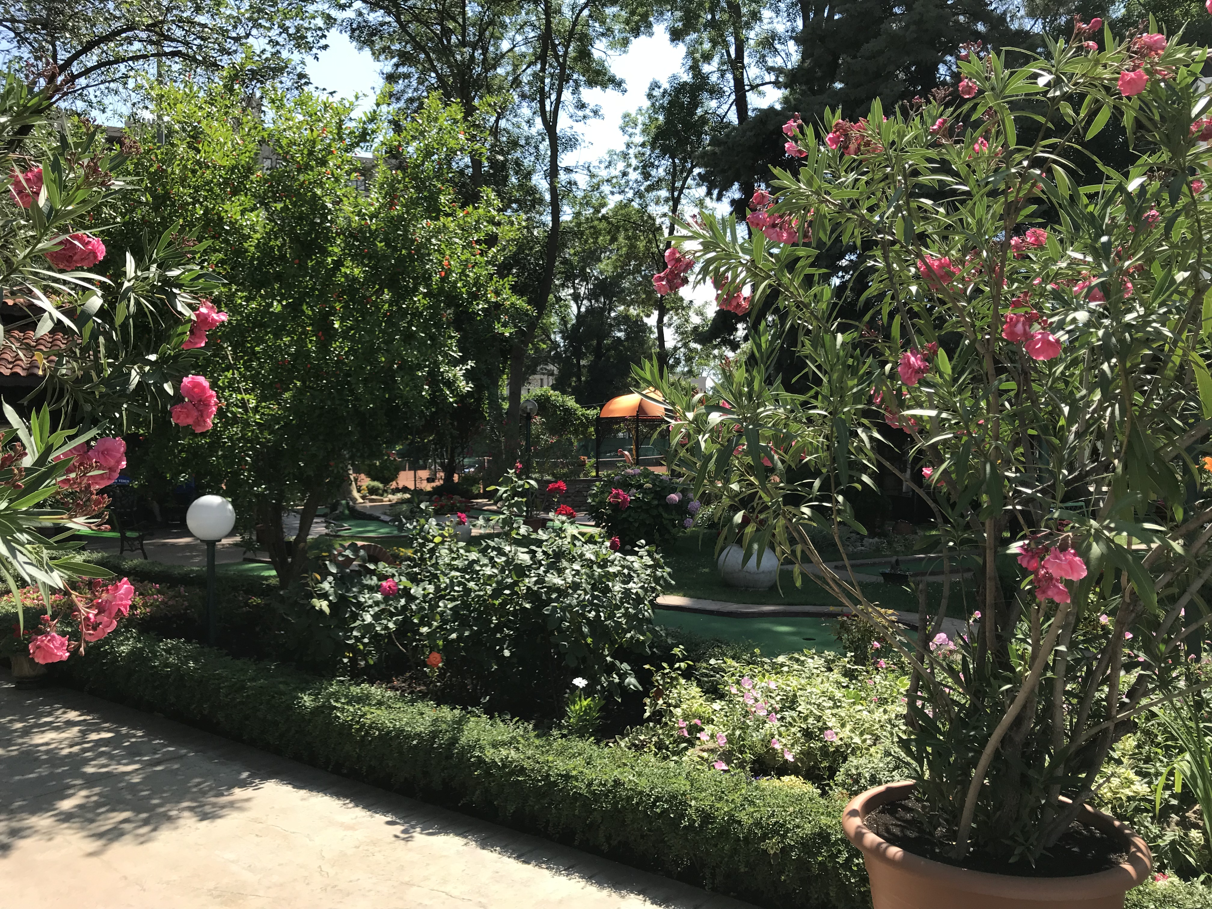 Oleander House-Basta hotela.JPG