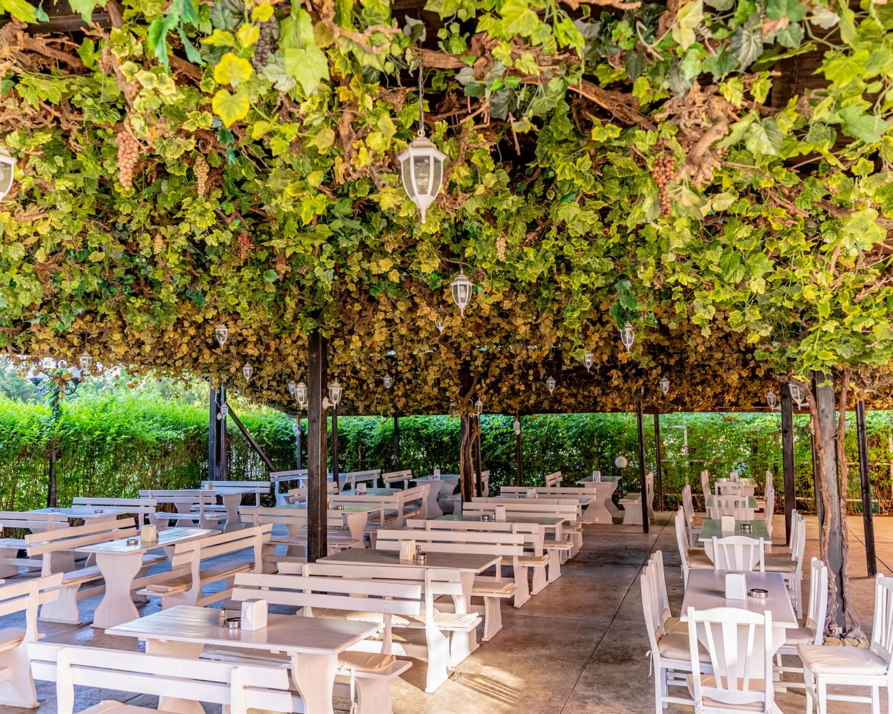 Izola Paradise Hotel-Terasa restorana.jpg