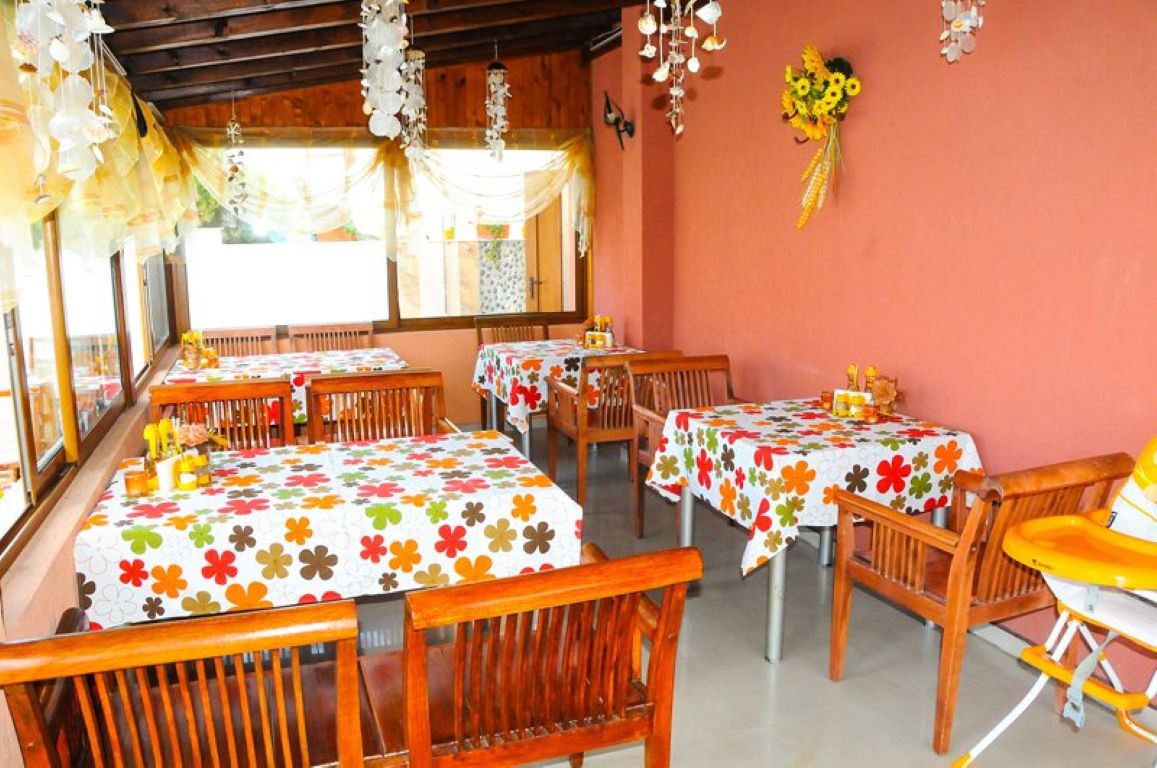 Apolis Hotel-Terasa restorana.jpg