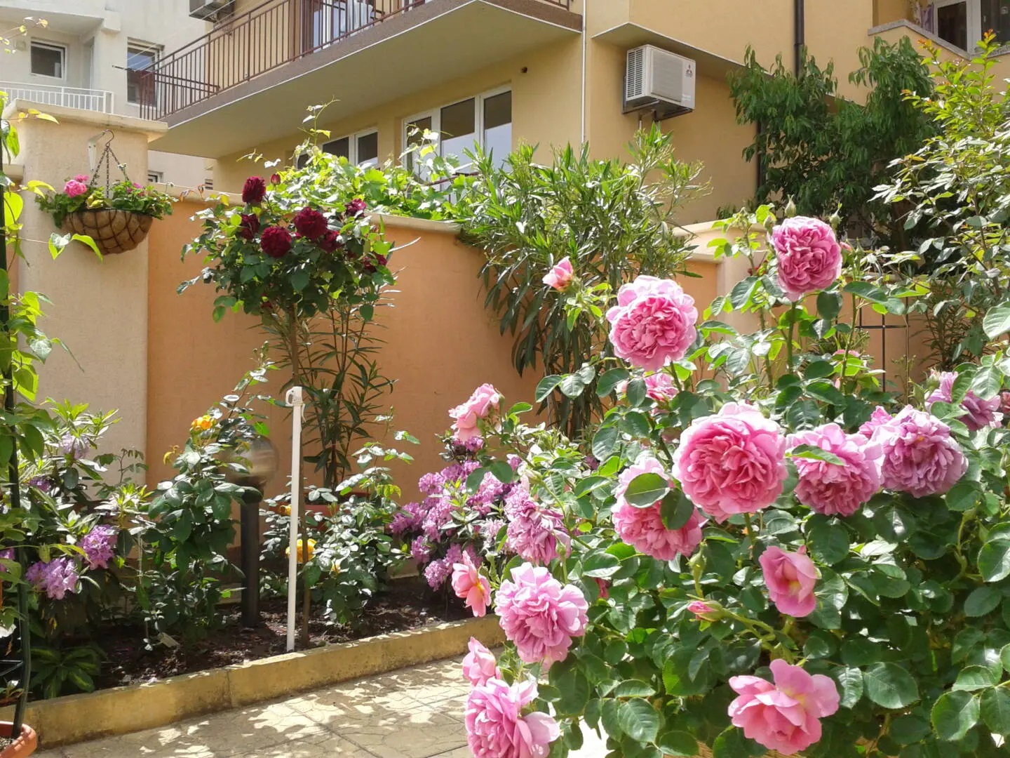 Chuchulev Hotel-Basta.jpg