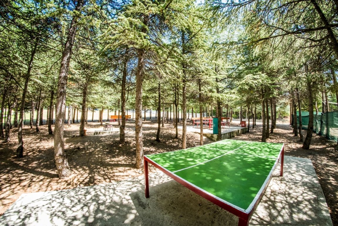 Hotel Sea Fort Club-Stoni tenis.jpg