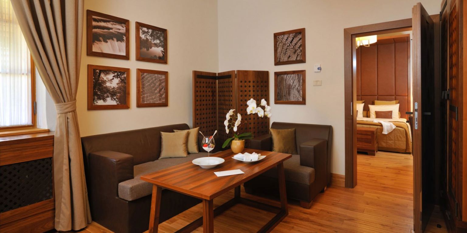 Hotel Grad Otocec-Junior suite.jpg