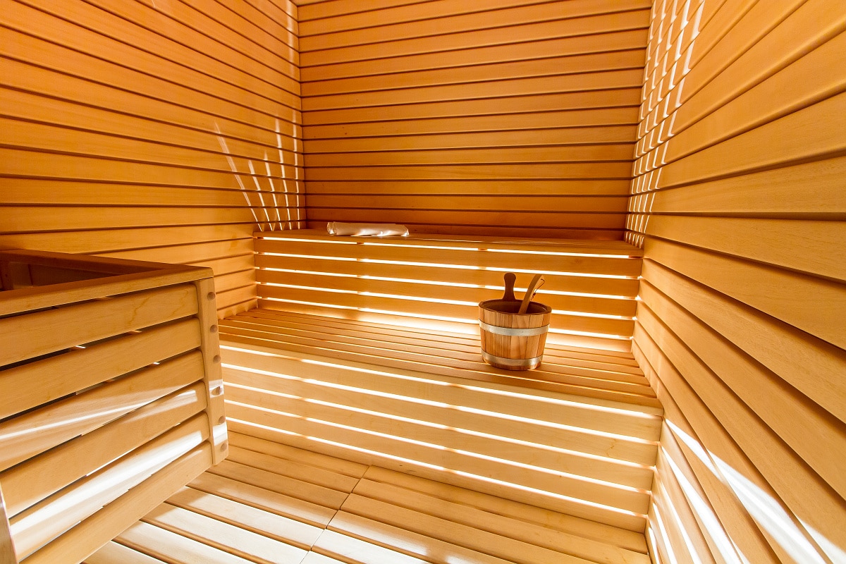 Hotel Zdravilsiki Dvor-Sauna.jpg
