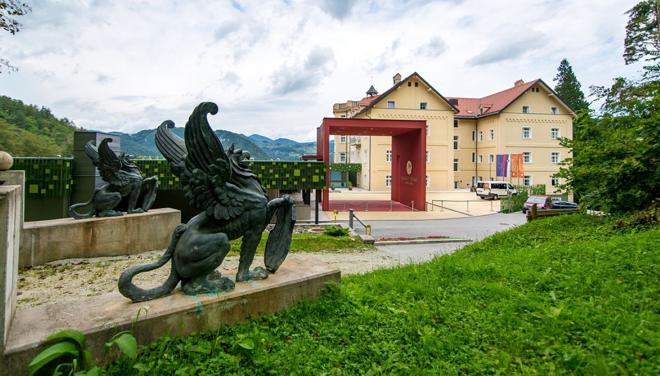 Zdraviliski Dvor-Okruzenje hotela.jpg