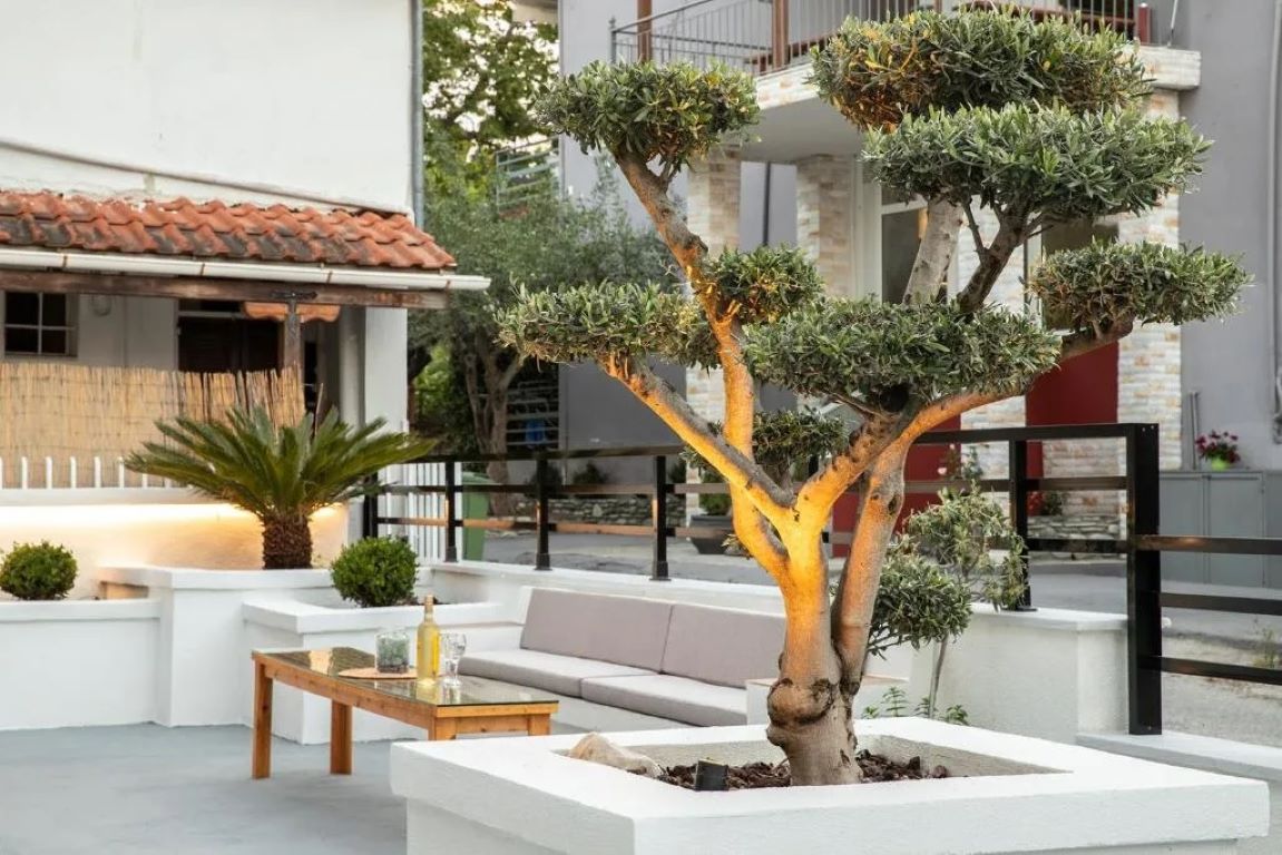 Bemyguest Plus Villa Crisanthi-Basta hotela.jpg