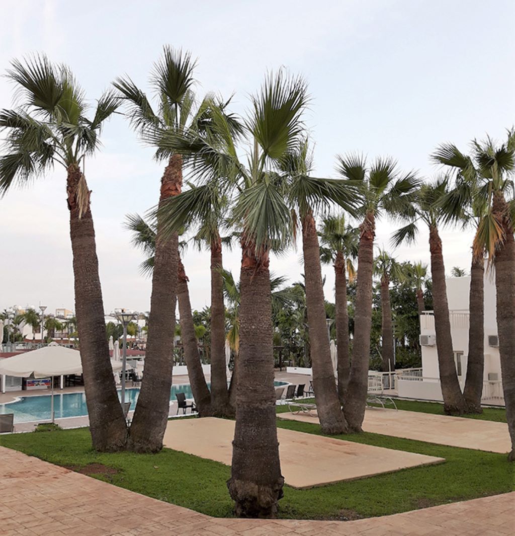 La Casa Di Napa Apartments-Bazen.jpg