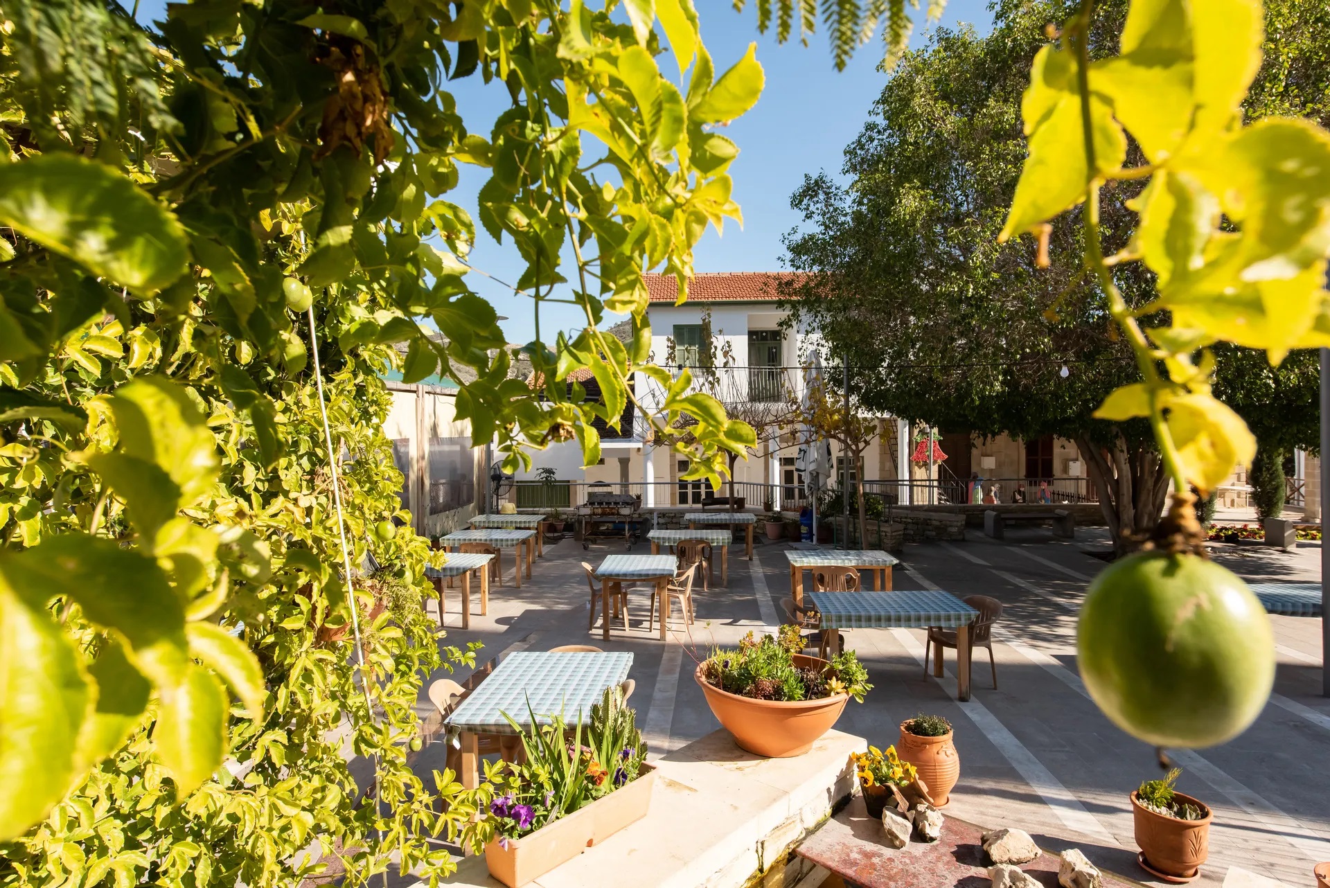 Cyprus Villages-Taverna.jpg