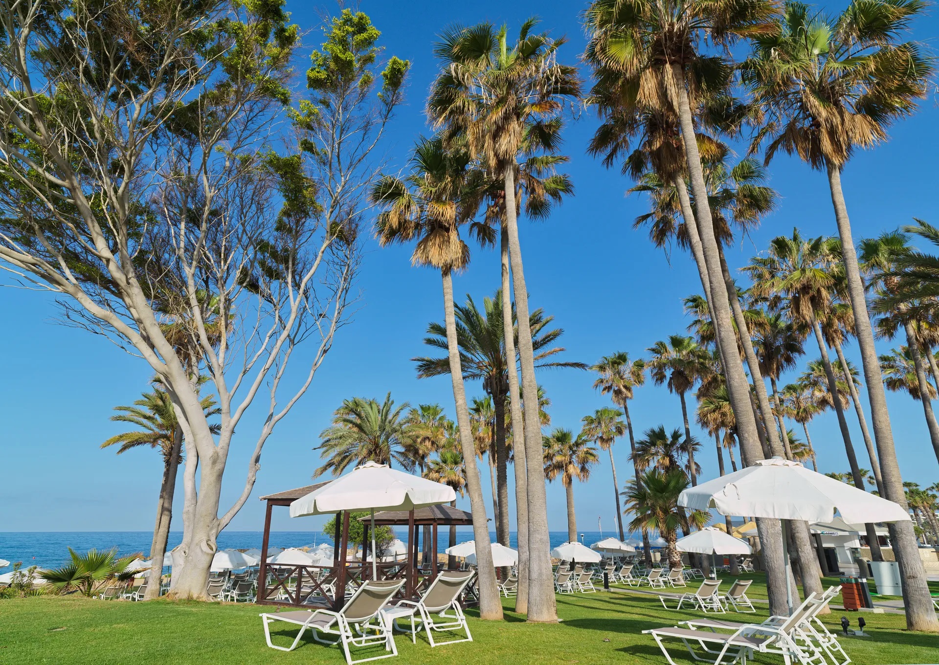 Leonardo Plaza Cypria Maris Beach Hotel & Spa-Basta hotela.jpg